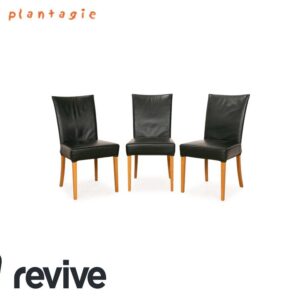 Bert Plantagie Leder Stuhl Garnitur Grün Braun 3x Stuhl