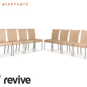 8er Garnitur bert plantagie Jeanne Flex Leder Stuhl Beige