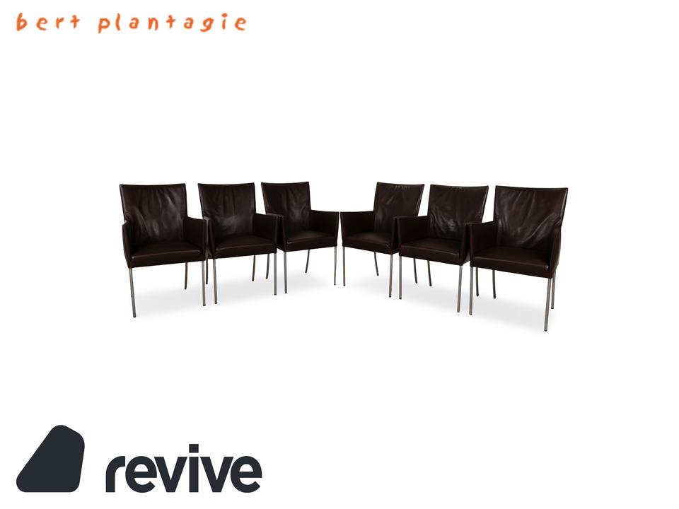 6er Garnitur bert plantagie ARC-E Leder Stuhl Braun Esszimmer