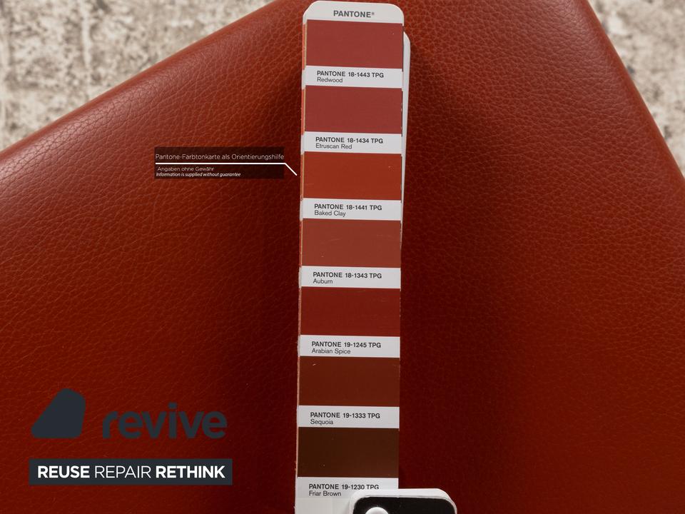 6er Garnitur Contur Penthouse Leder Stuhl Braun – Bild 4