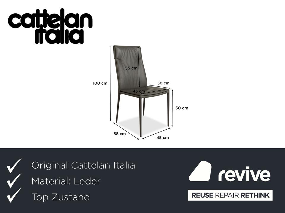 4er Garnitur Cattelan Italia Isabel Leder Stuhl Grau – Bild 2