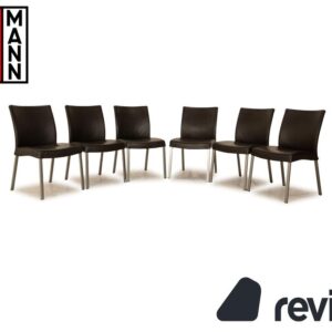 6er Garnitur Wittmann Times Leder Stuhl Dunkelbraun Esszimmer