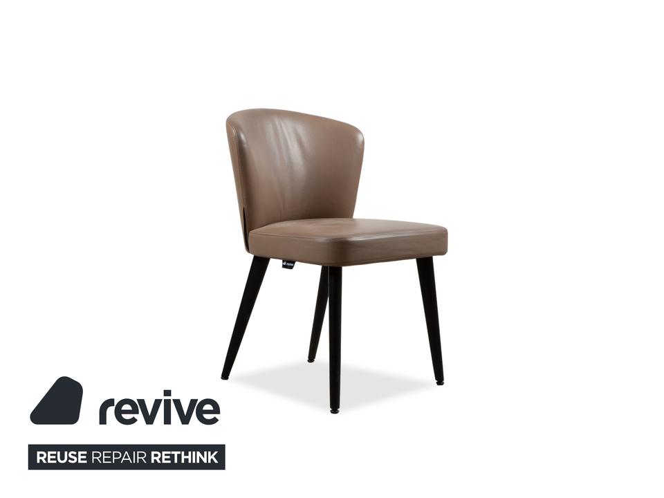 Minotti Aston Leder Stuhl Braun Kaffee Esszimmer – Bild 3
