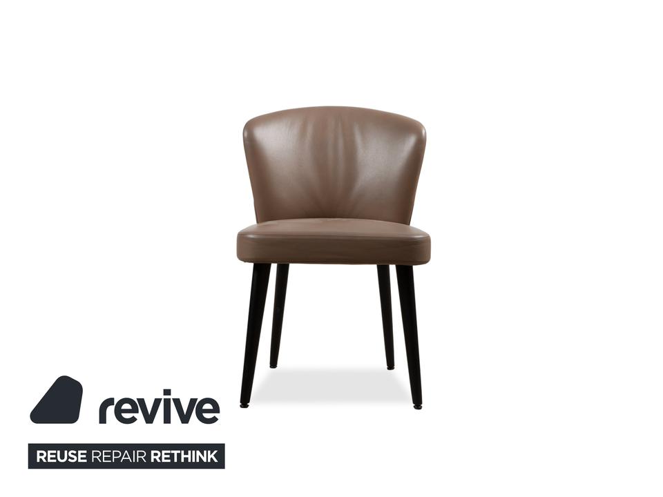 Minotti Aston Leder Stuhl Braun Kaffee Esszimmer – Bild 8