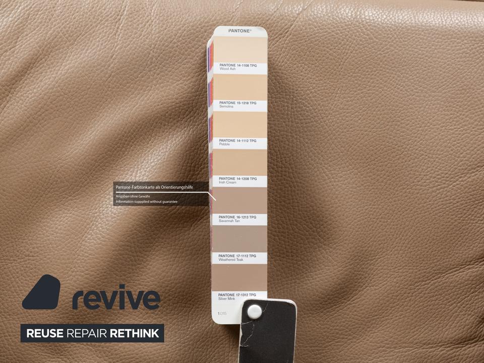 Saba Italia Leder Sessel Braun Hellbraun Beige – Bild 8