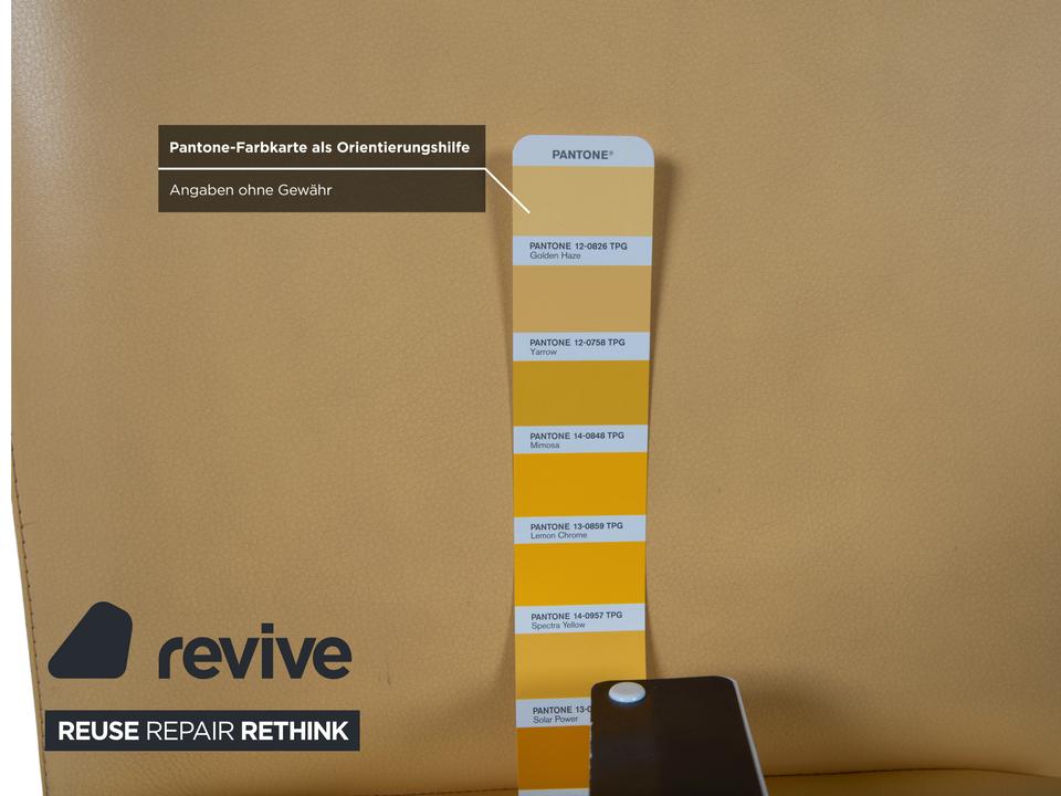 8er Garnitur Poltrona Frau Vittoria Leder Holz Gelb – Bild 6