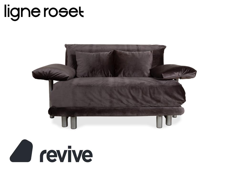 Ligne Roset Multy Zweisitzer inkl. Armlehnen Samt Stoff Grau ✨