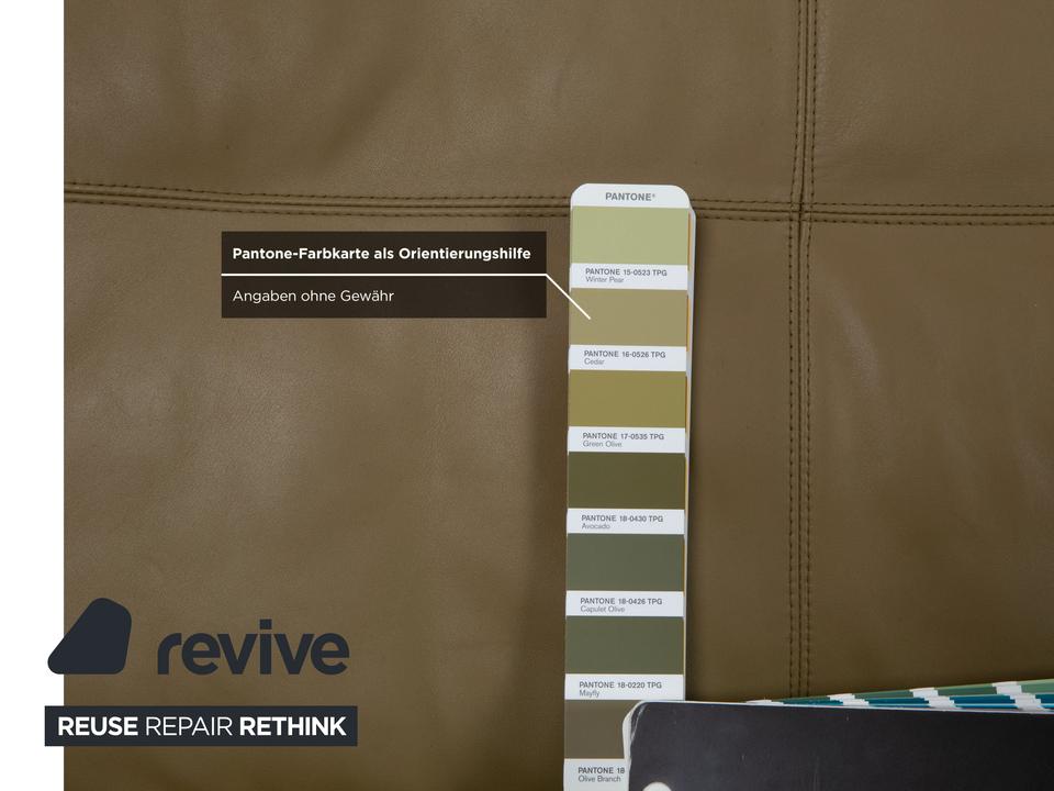 Rolf Benz 50 Dreisitzer Leder Sofa Kaki Grün Braun mit – Bild 8
